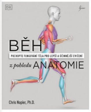 Běh z pohledu anatomie - Pochopte fungování těla pro lepší a účinnější cvičení