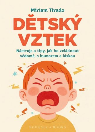 Dětský vztek